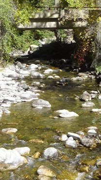 DSC00876