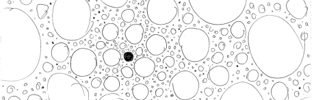Black Circle